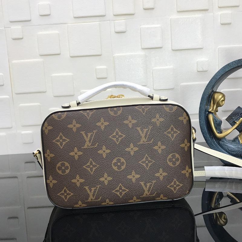 Louis Vuitton Saintonge M43559